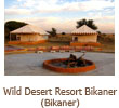 wilddesert_bikaner.jpg